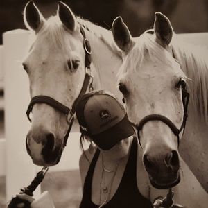 Meet your Posher, Calie